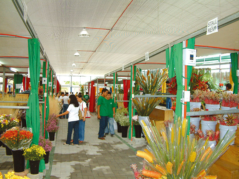 菲律宾计顺市园艺2000花卉展销市场